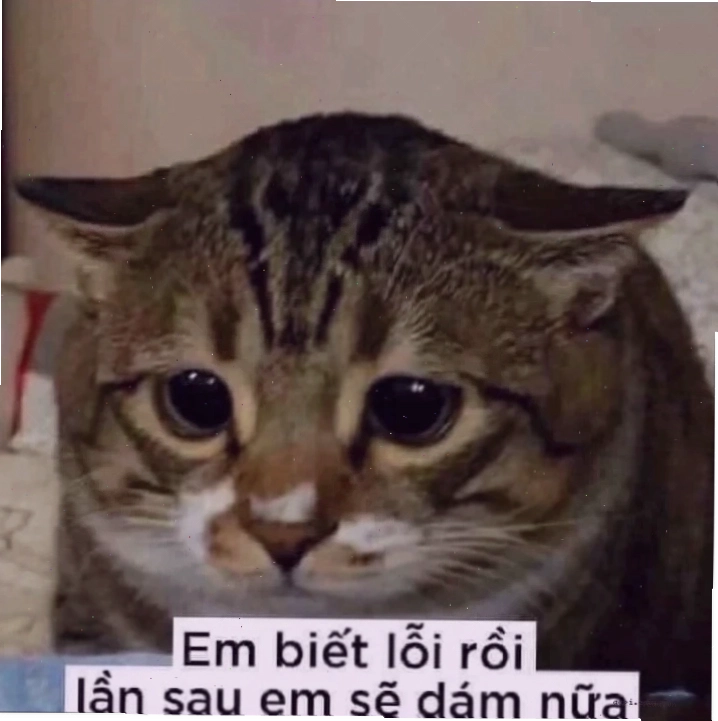 Nhân vật hoạt hình chắp tay meme xin lỗi