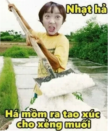 nhạt meme bựa