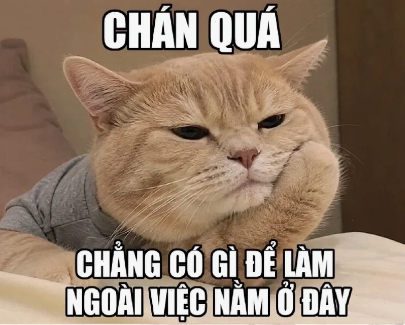 nhạt meme độc