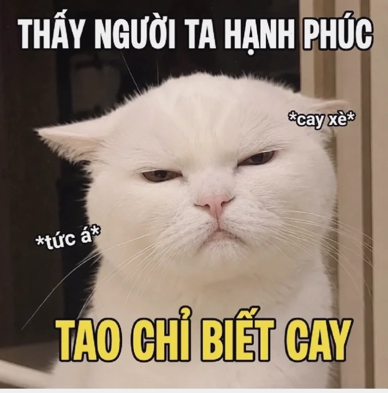 nhạt meme hay