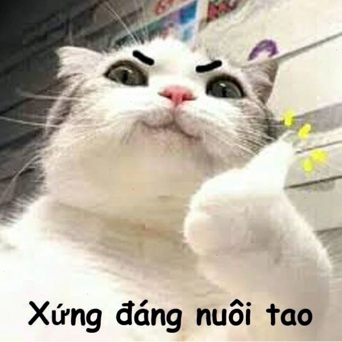 nhạt meme hay