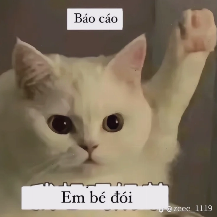 nhạt meme hot