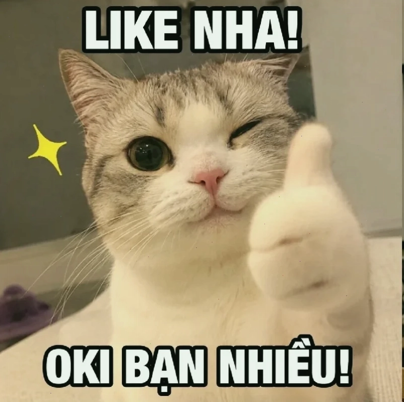 nhạt meme hot