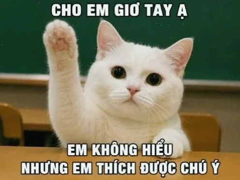 nhạt meme lạ