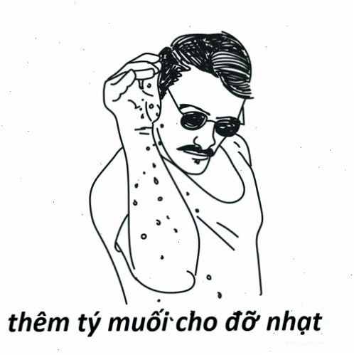 nhạt meme vô tri
