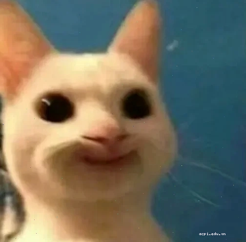 nhạt meme vui