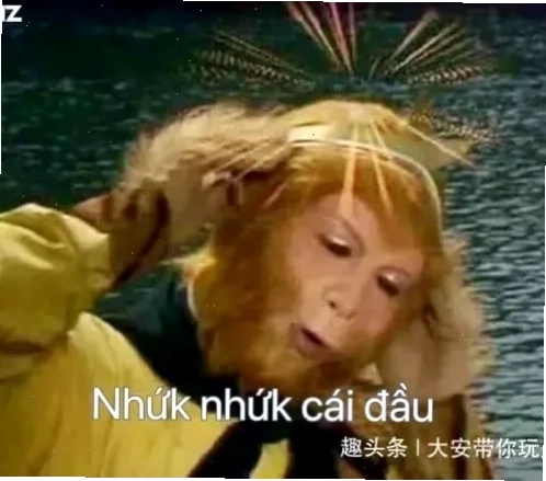 nhức đầu meme mèo