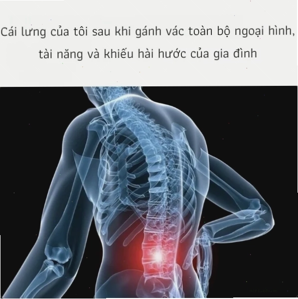 nhức đầu meme mèo bóp trán