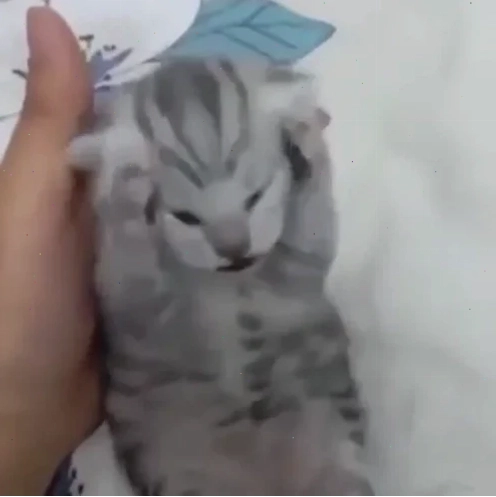 nhức đầu meme nhăn mặt