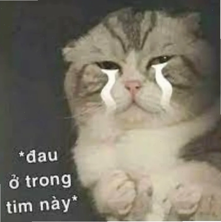 nhức đầu meme suy ngẫm