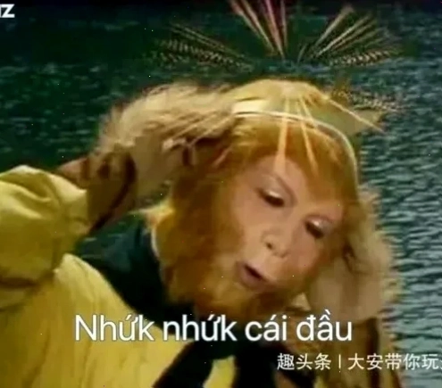 nhục meme học tập