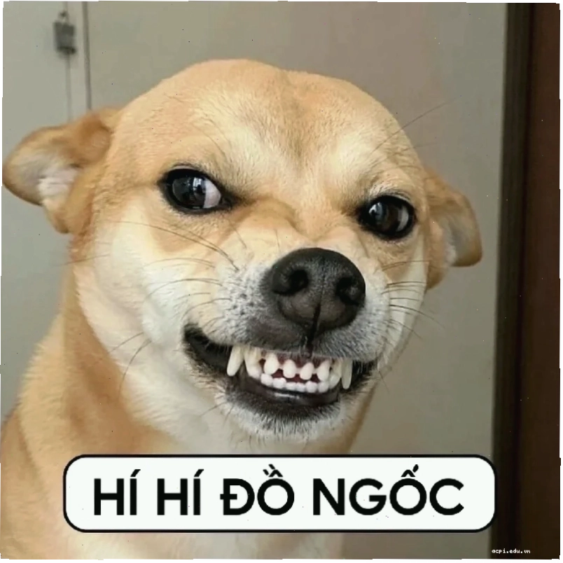 Phá cách nổ não meme