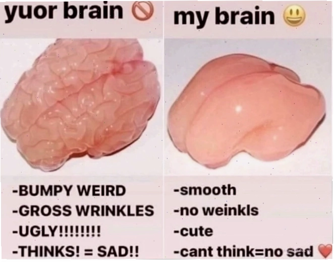 Bế tắc nổ não meme