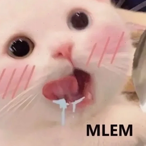 nước mắm meme chất