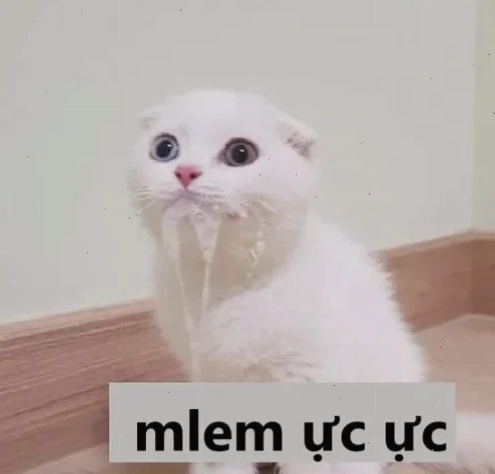 nước mắm meme hài