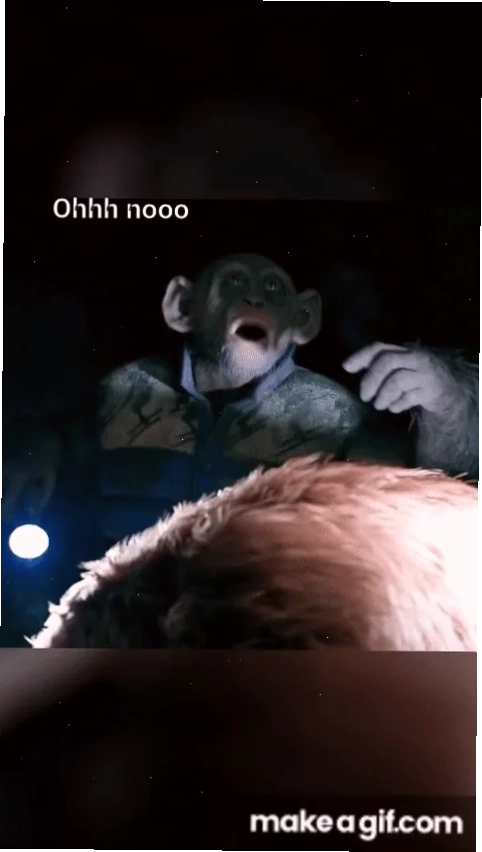 o meme cạnh máy tính