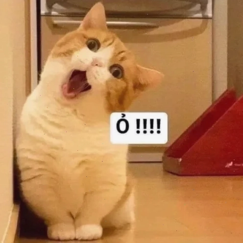 ờ meme châm biếm