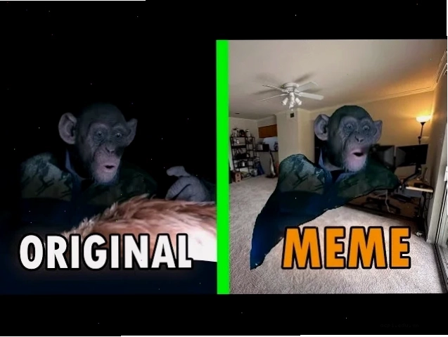o meme chơi đùa