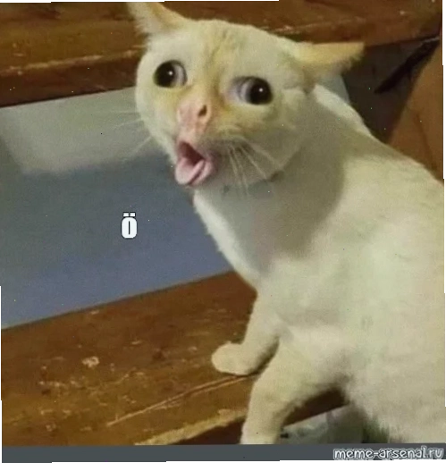 o meme đang ăn