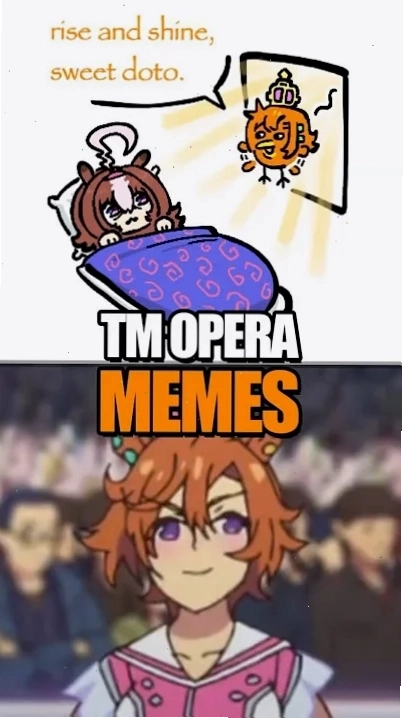 o meme đứng