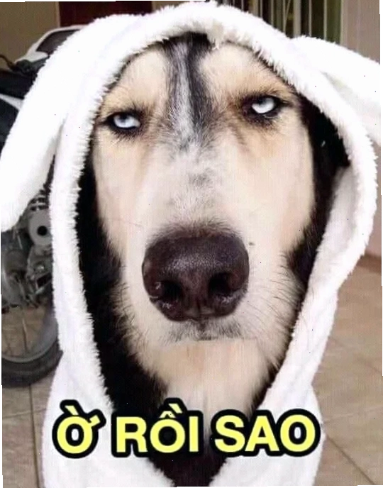ờ meme hài hước