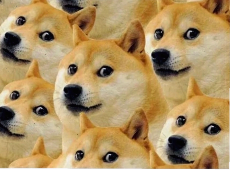 Oh my god wow Oh my god wow meme trong các video meme nổi tiếng