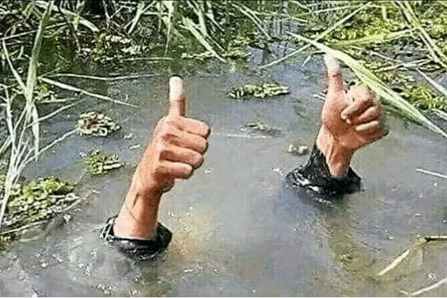oke meme nhân vật hoạt hình