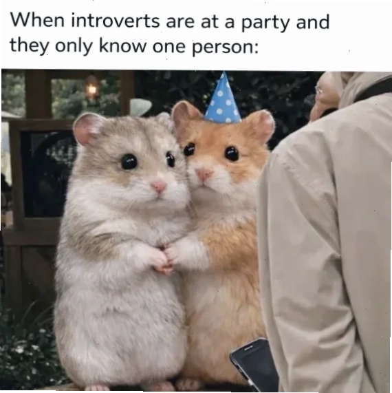 Only meme cho mọi lứa tuổi