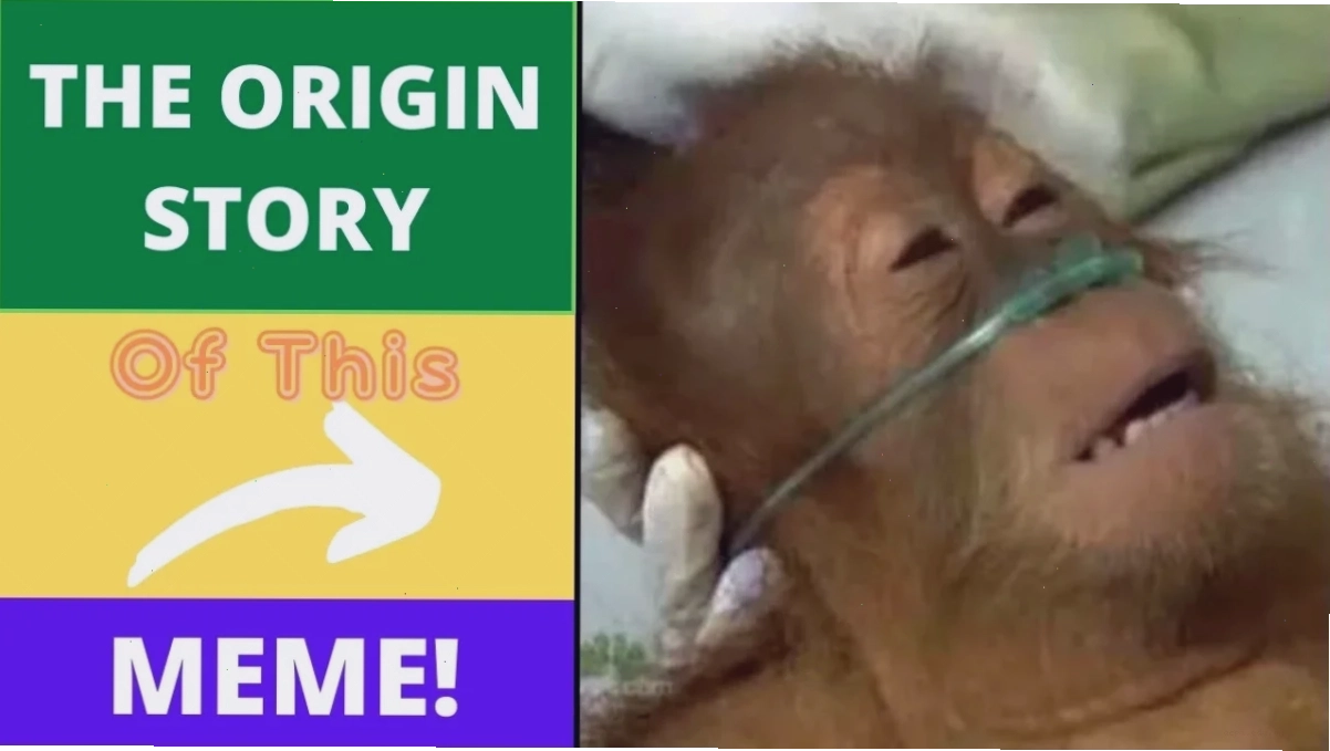 oxygen meme