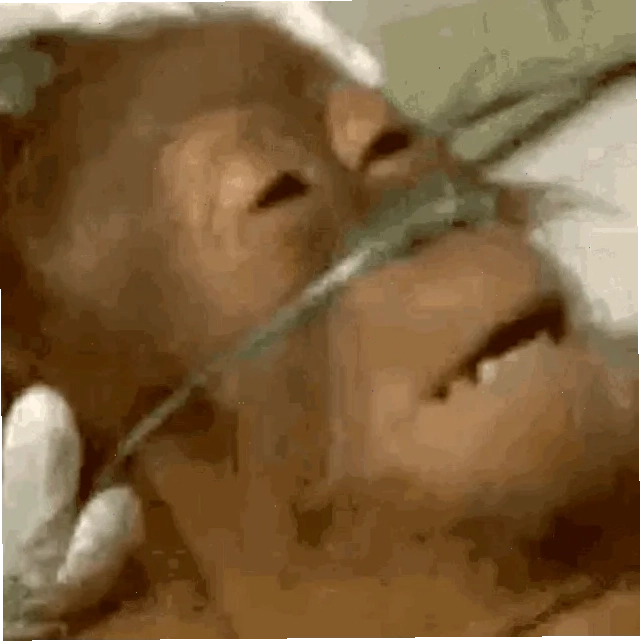 oxygen meme hài hước