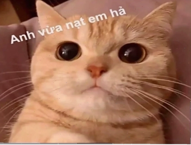 Phân loại meme là gì trên facebook