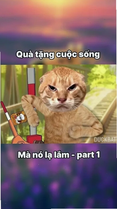 Phản ứng khi nhận quà tặng meme