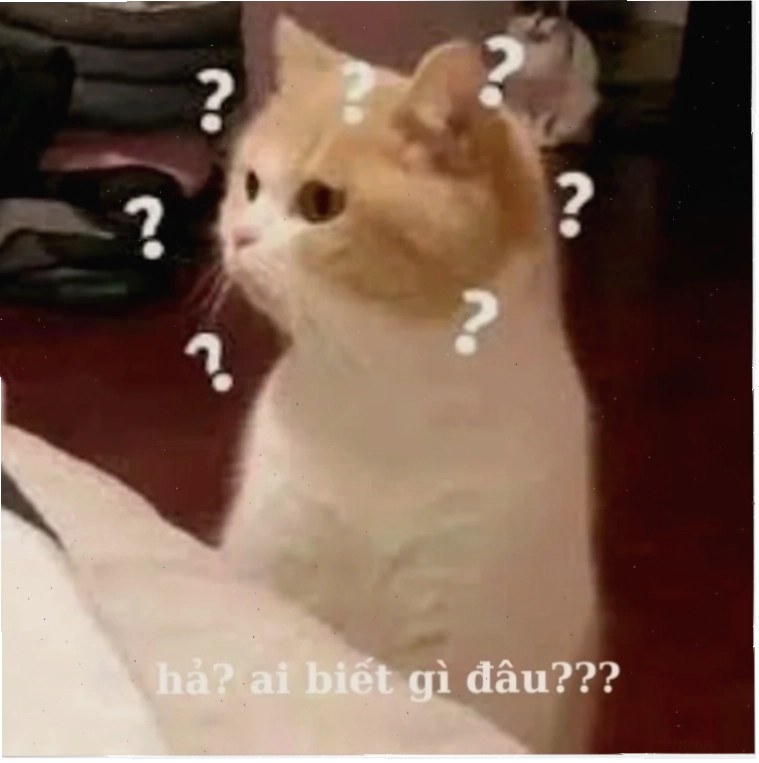 Phong cách đây là đâu tôi là ai meme