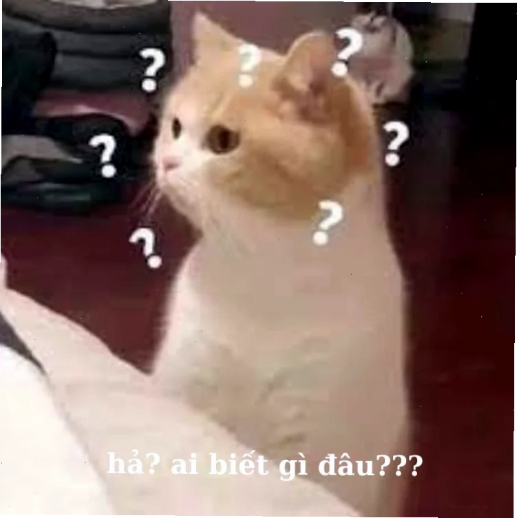 Phong cách đây là đâu tôi là ai meme