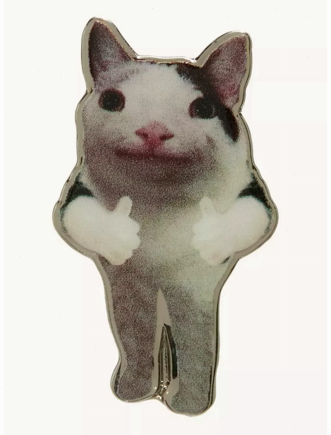 pin meme anime
