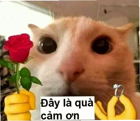 Pin sạc dự phòng in logo dạng quà tặng meme