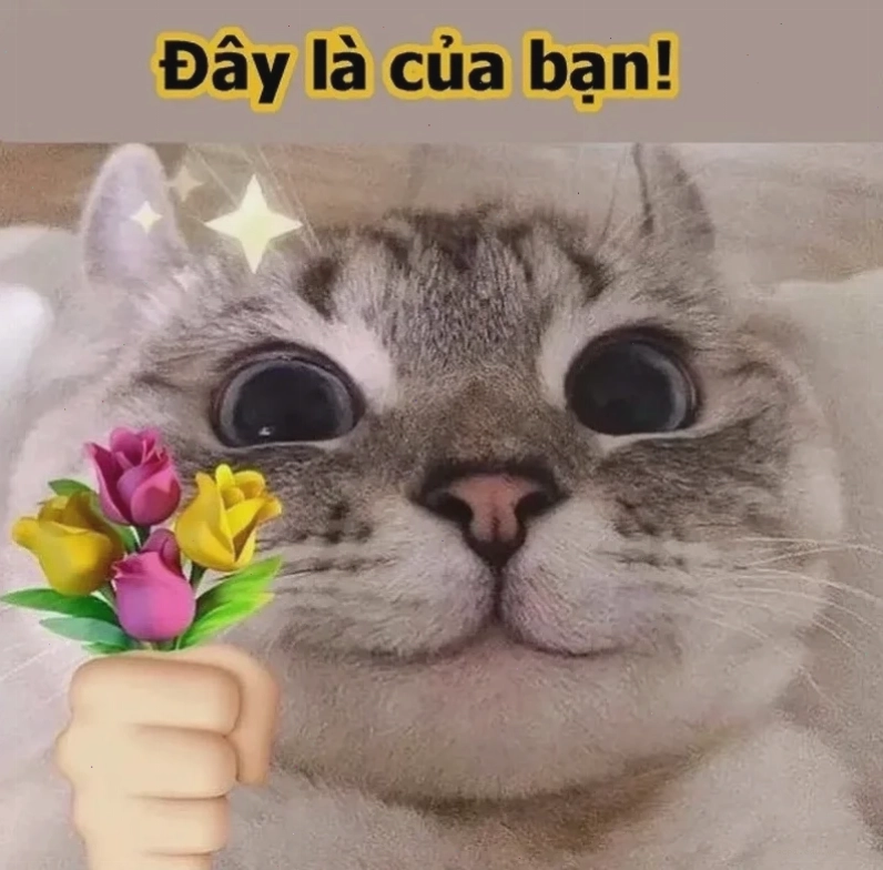 Quà tặng meme dành cho đồng nghiệp