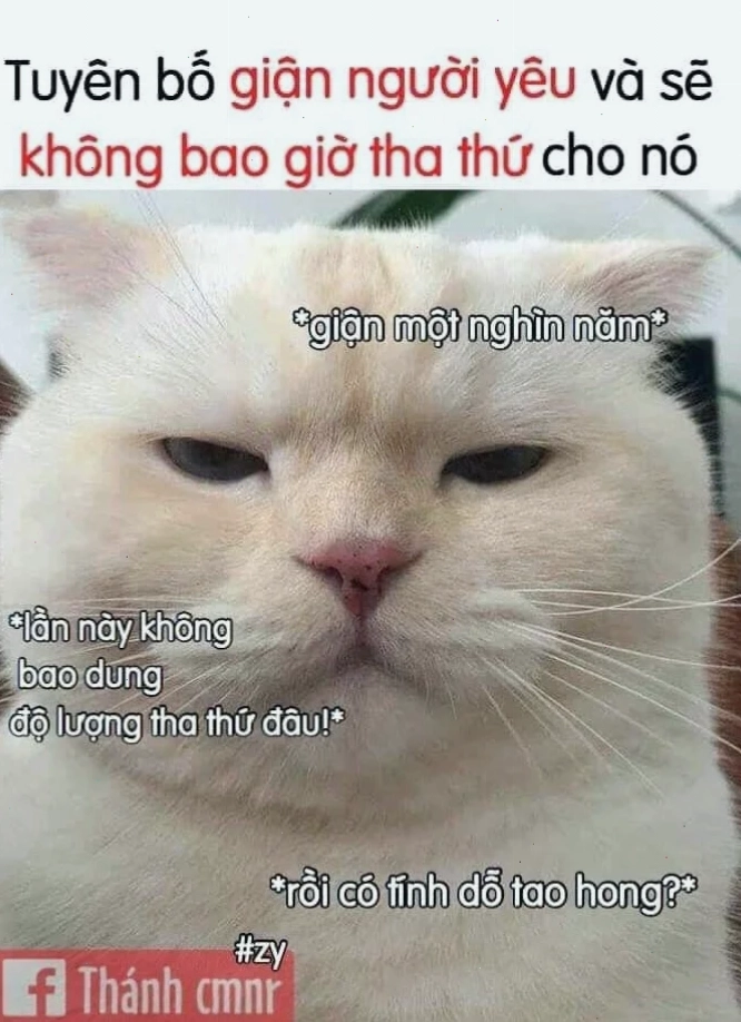 Quà tặng meme mừng sinh nhật