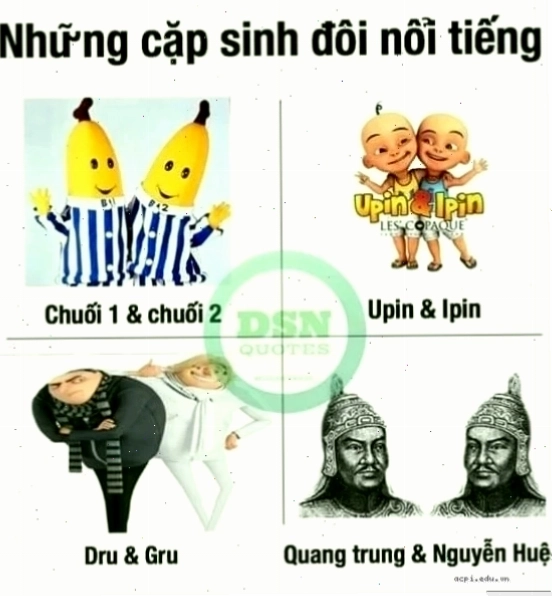 quang trung meme trong chuyến du lịch