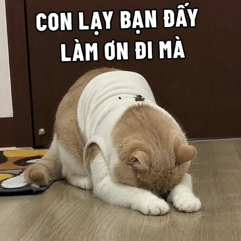 quỳ meme chắp tay