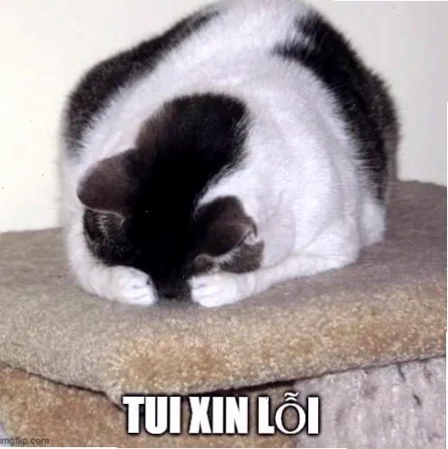 quỳ meme chịu thua