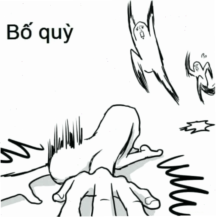 quỳ meme mèo con