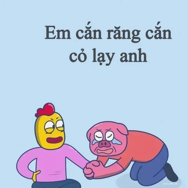 quỳ meme mèo mếu máo