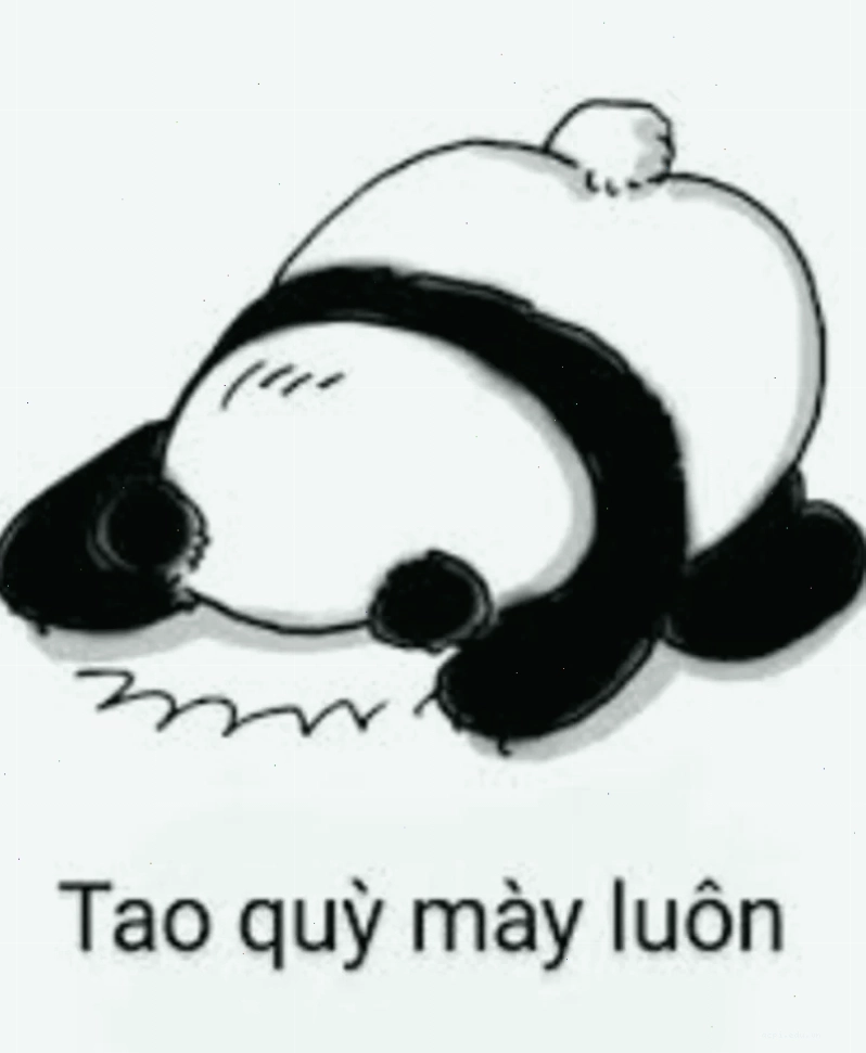 quỳ meme van xin