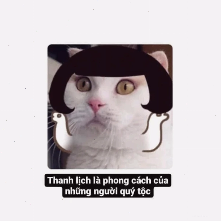 quý tộc meme hiện đại