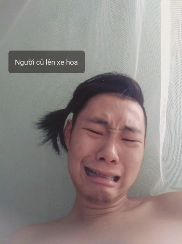 quý tộc meme lộng lẫy