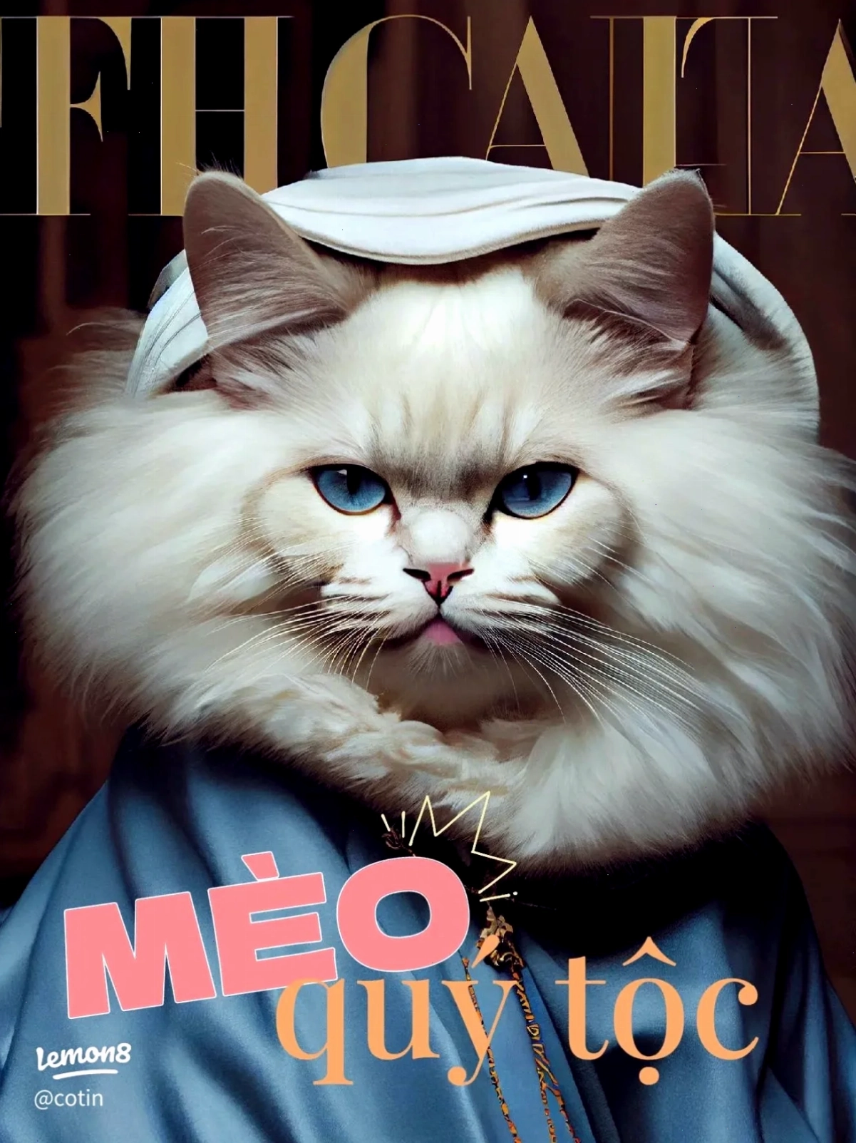 quý tộc meme nhìn đời