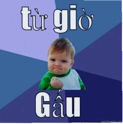 quyết tâm meme