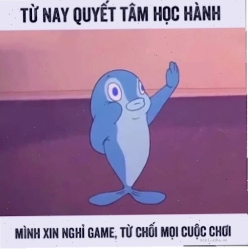 quyết tâm meme
