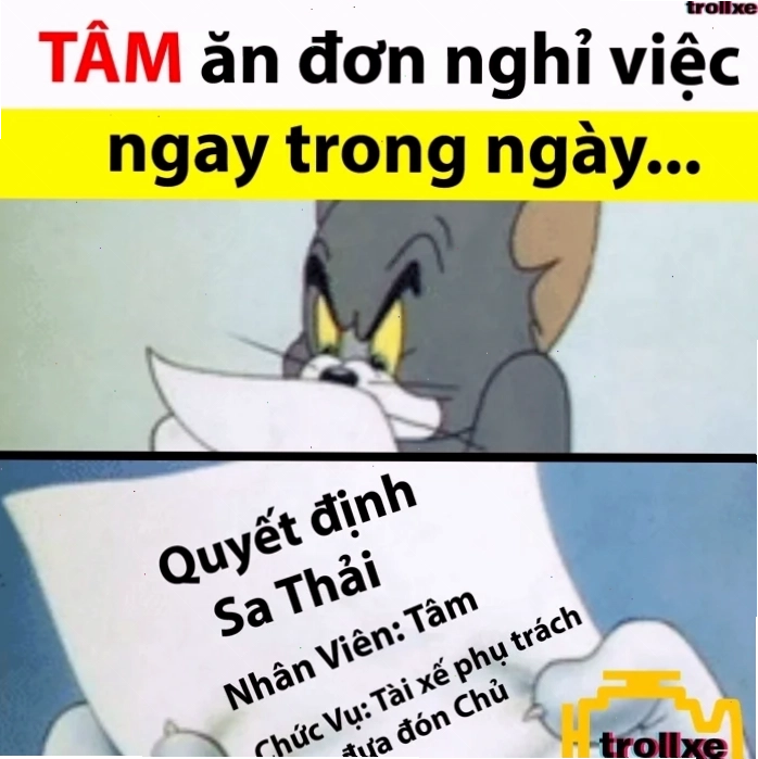 quyết tâm meme